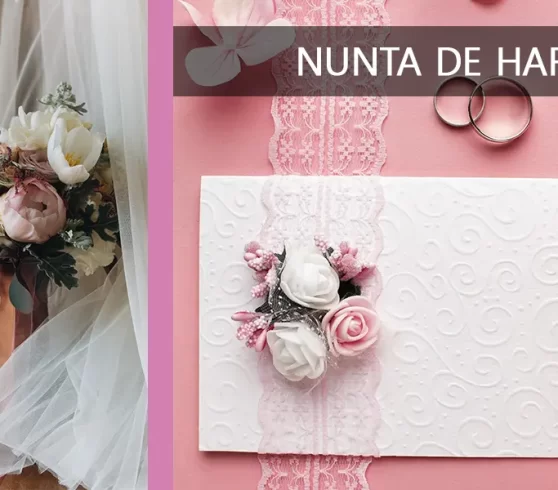 Evoluția Iubirii de Hârtie către O Legătură Puternică